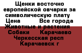 Щенки восточно европейской овчарки за символическую плату › Цена ­ 250 - Все города Животные и растения » Собаки   . Карачаево-Черкесская респ.,Карачаевск г.